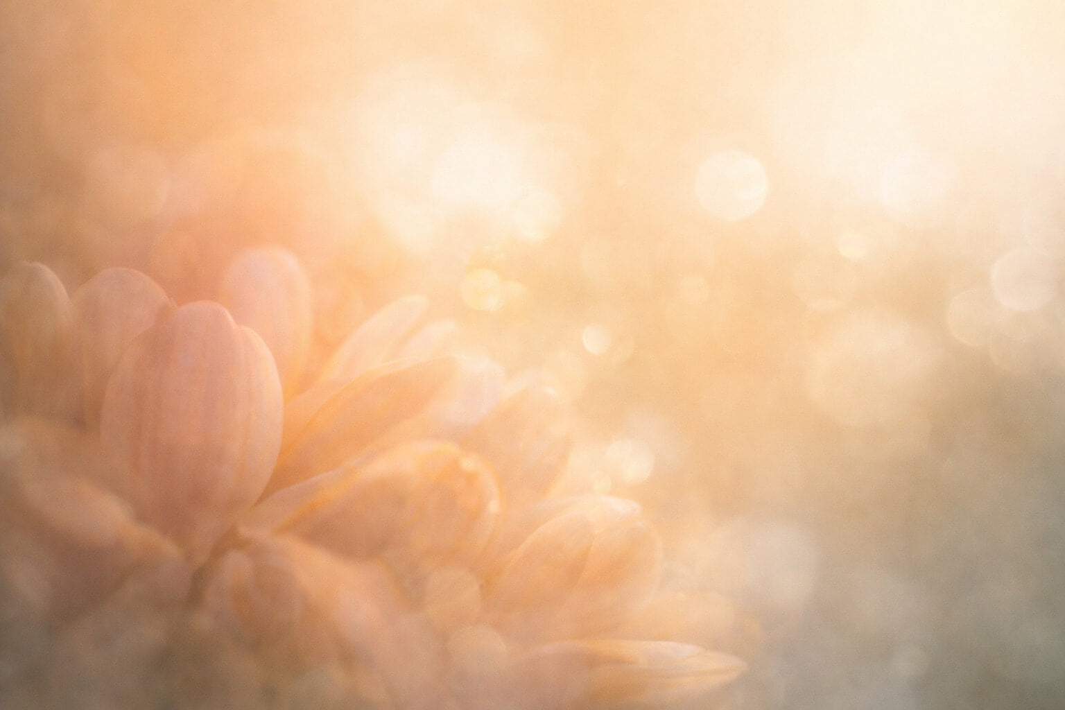 Ovulácia – vrchol energie a vnútornej sily