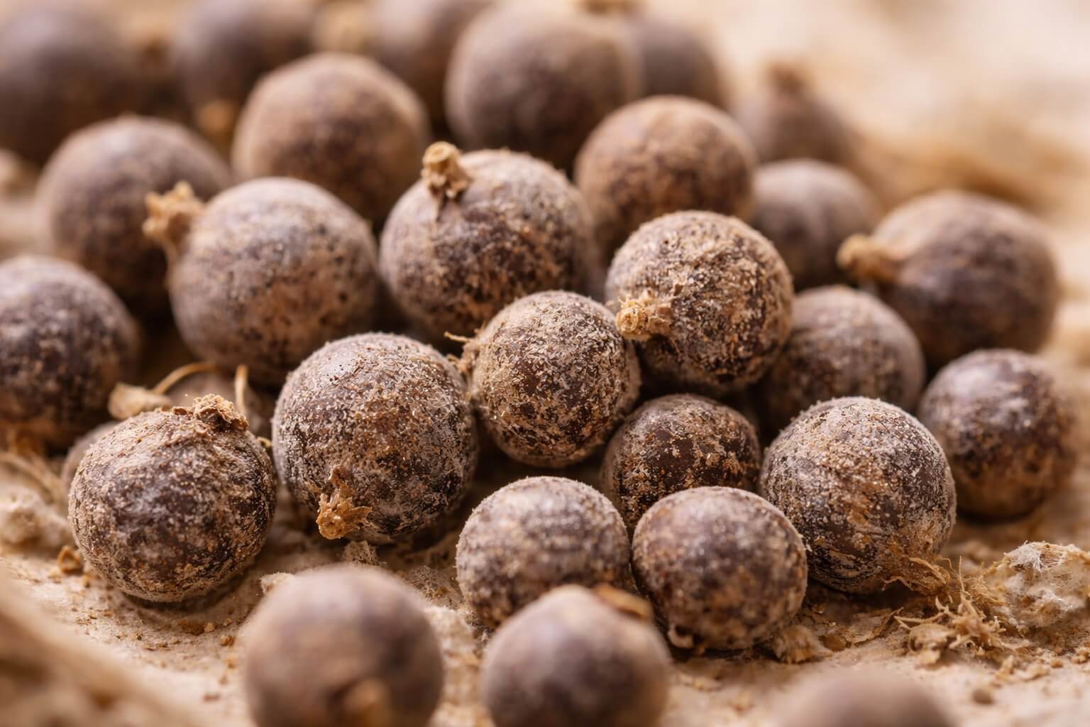 Vitex jahňací – prírodná podpora pri PMS a menopauze