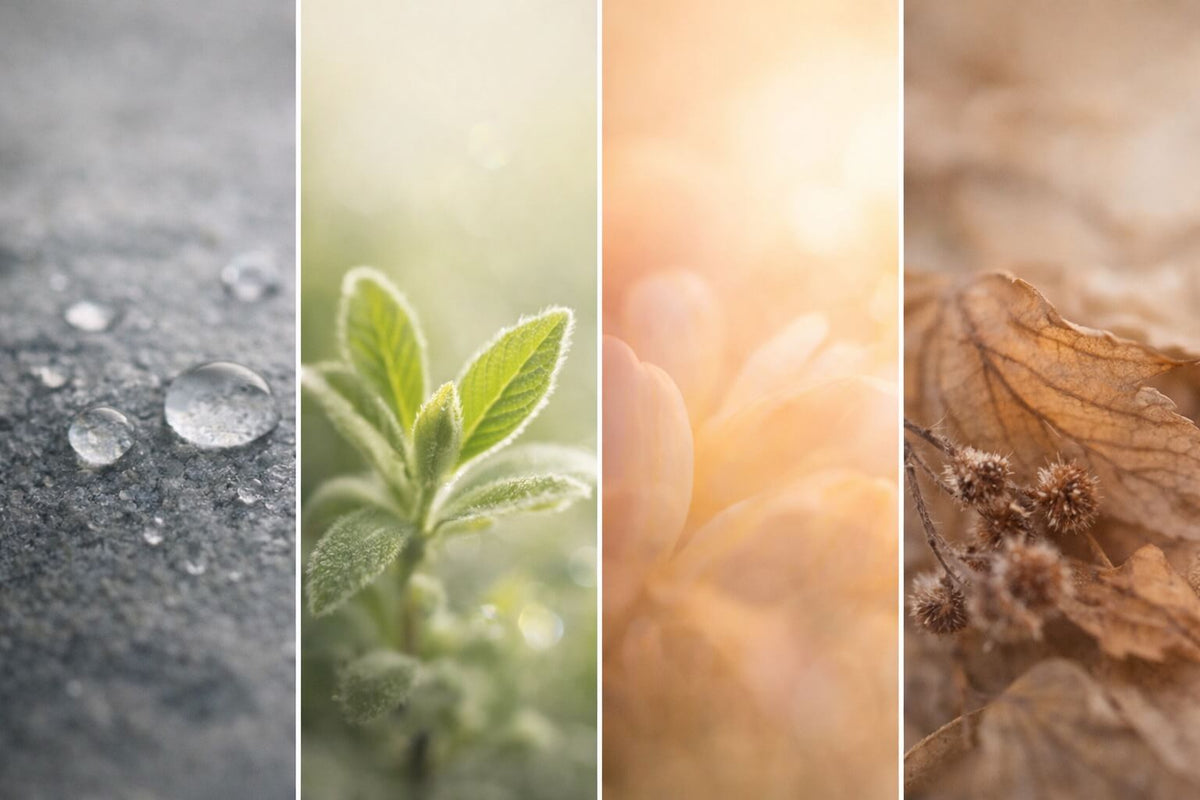 Fotografia k téme: 4 fázy menštruačného cyklu